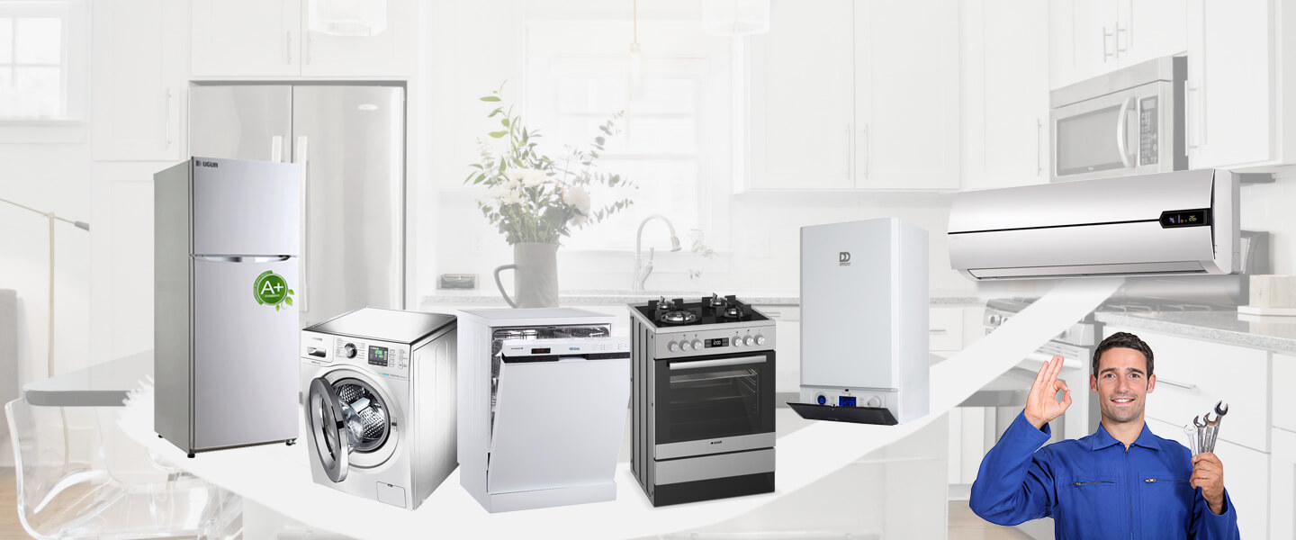 Selçuk Electrolux Servisi